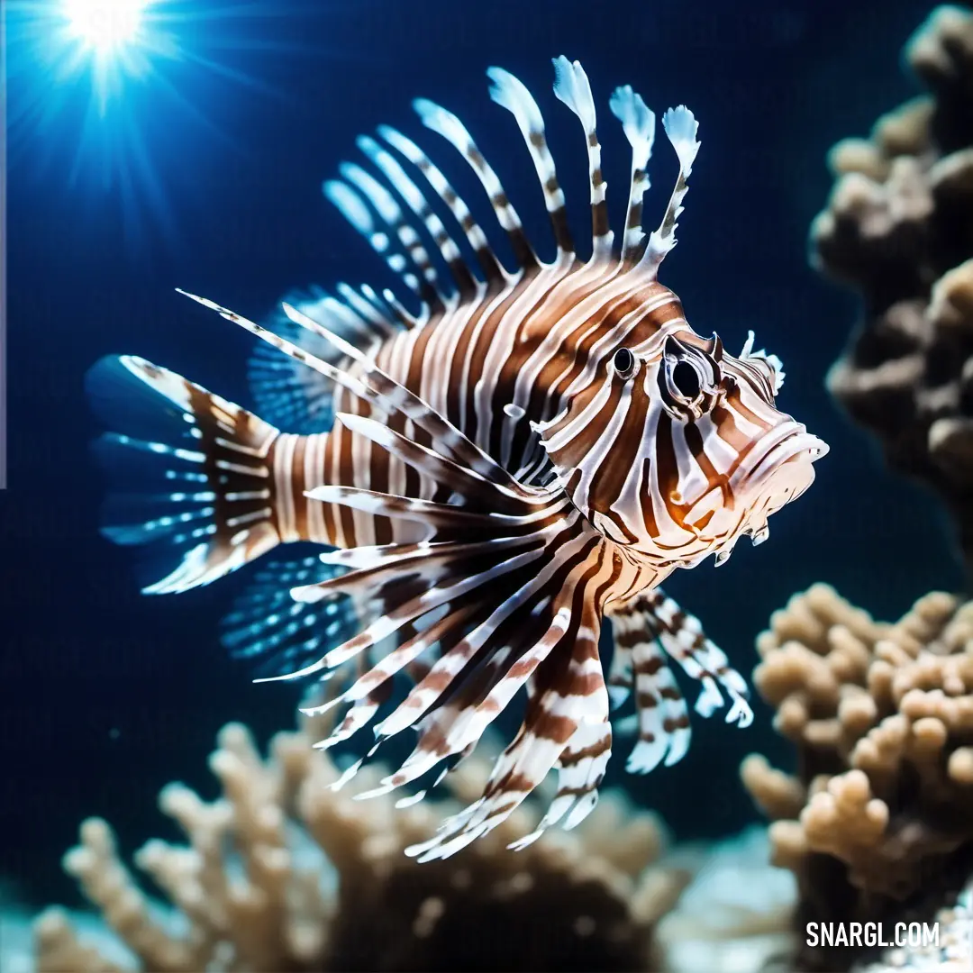 A lionfish swims elegantly in the ocean, its fins gliding through a coral-filled underwater world, surrounded by vibrant sea life. A graceful lionfish glides through the clear ocean water, surrounded by colorful corals and swaying seaweed, creating a peaceful underwater scene. Its flowing fins reflect the light as it moves effortlessly.