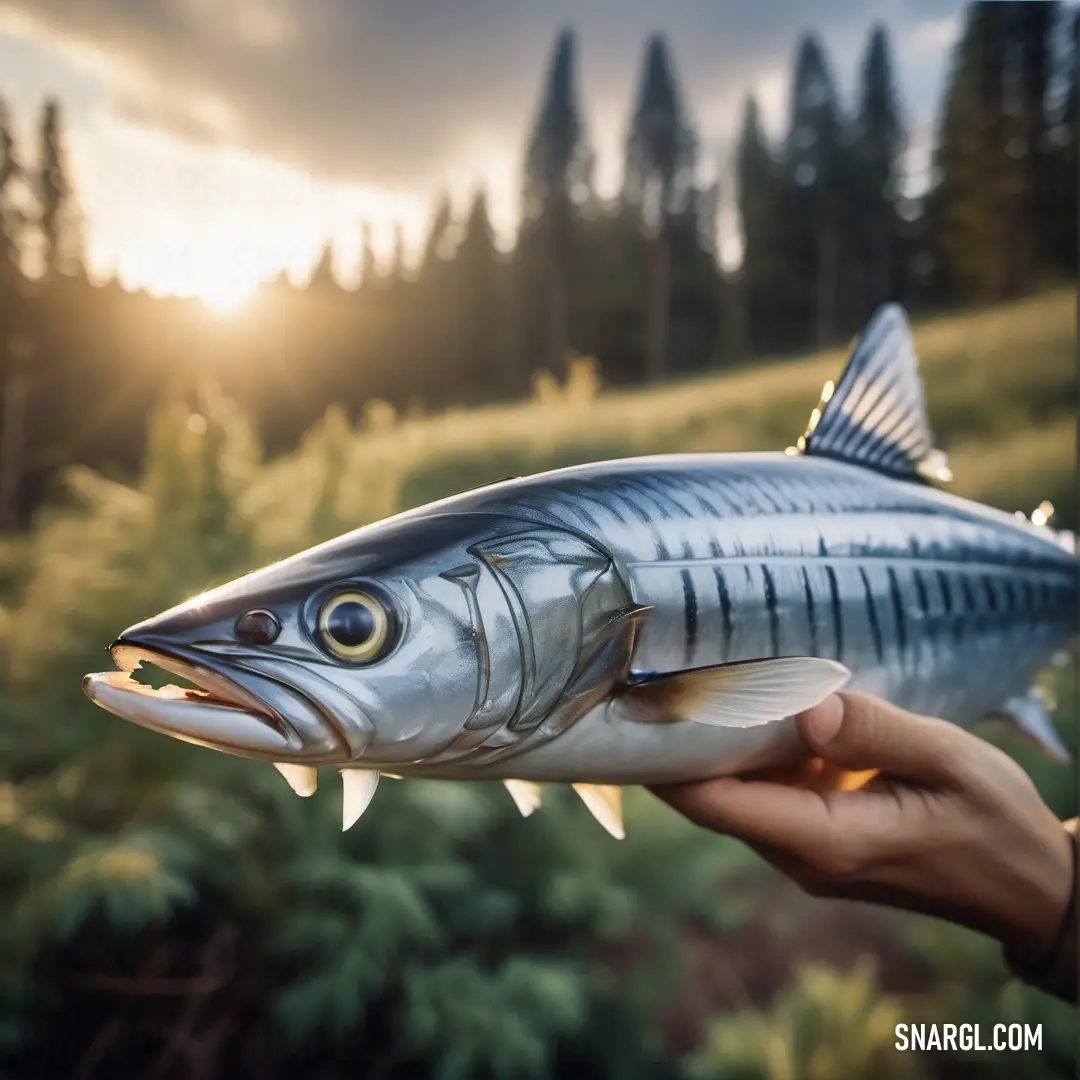 Mackerel holding a fish in their hand with a sunset in the background