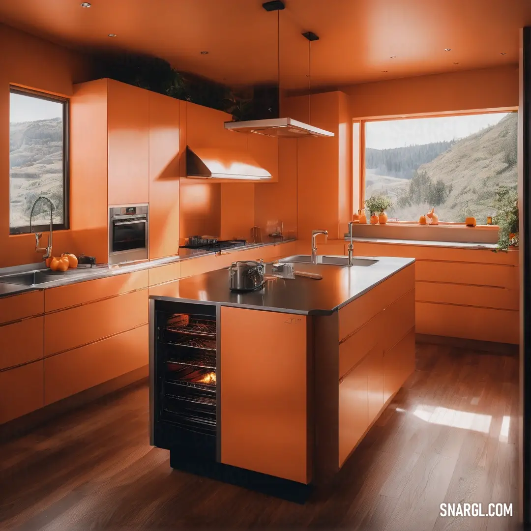 Kitchen with orange walls and a stove and sink and a window with a view of mountains outside the window. Example of CMYK 0,67,100,25 color.
