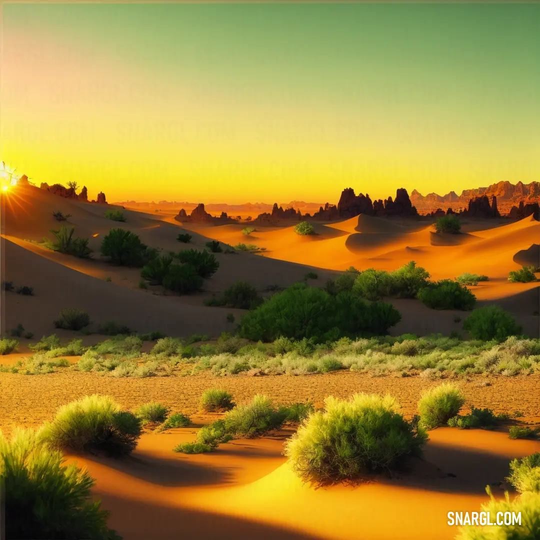 Meat brown color example: Desert with a sunset in the background