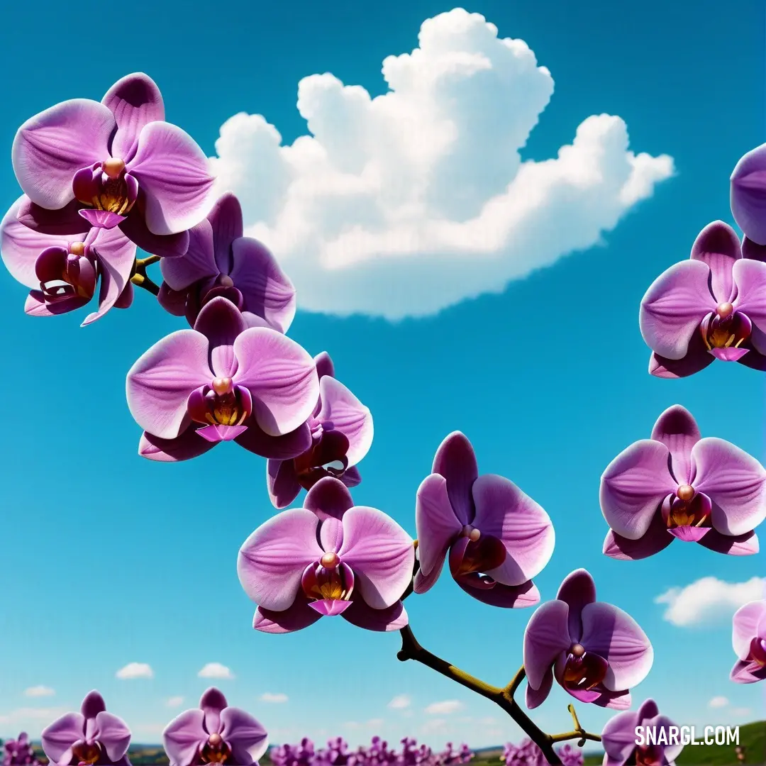 Purple flower is growing in a field of purple flowers with a blue sky in the background. Example of CMYK 0,28,0,13 color.