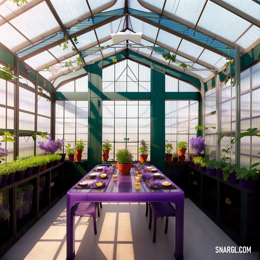 Table with purple chairs and a purple table cloth in a greenhouse with potted plants and windows on both sides
