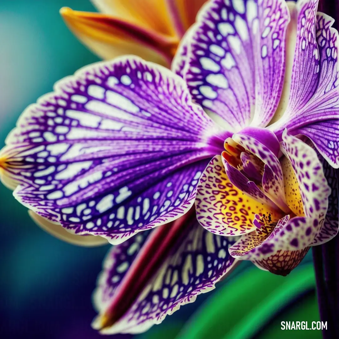 Purple flower with white spots on it's petals and a green stem with a yellow center