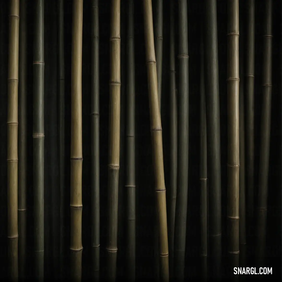 An artistic arrangement of bamboo sticks standing tall against a deep black background, showcasing their natural textures and colors, an embodiment of strength and simplicity.