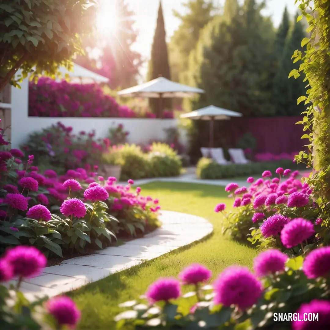 Garden with pink flowers and a path leading to a house with a white gazebo in the background. Example of Medium violet red color.
