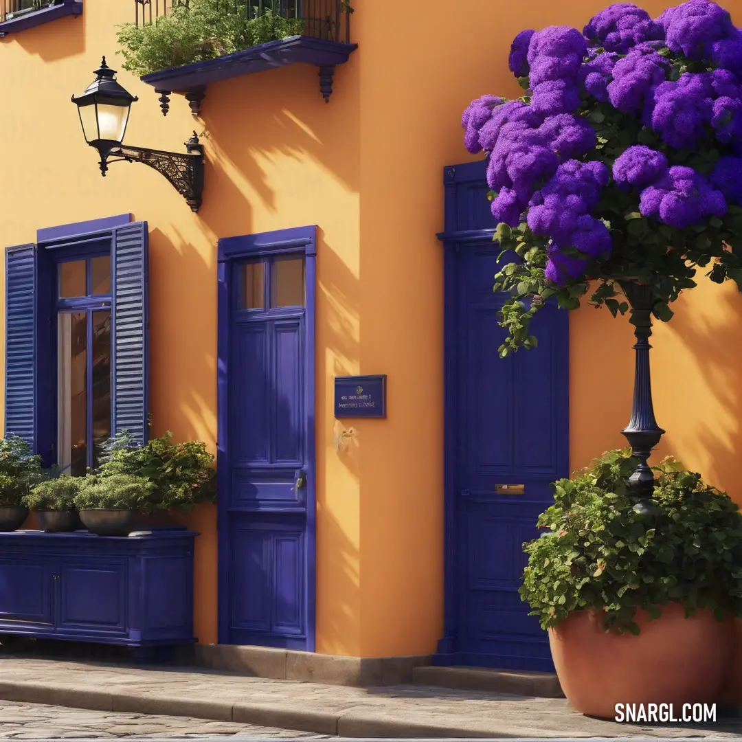 Midnight blue color example: Building with blue windows and a yellow wall and a purple planter with purple flowers in front of it