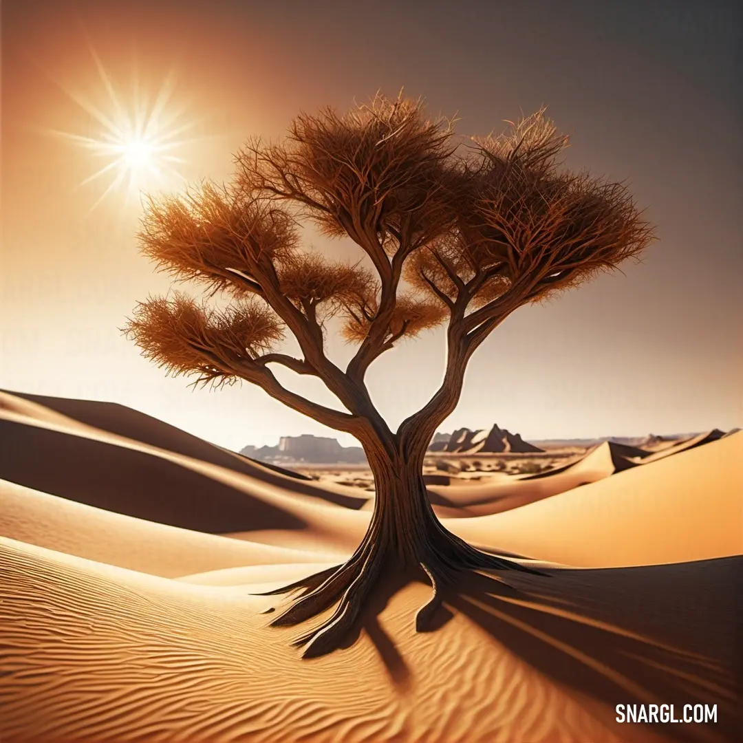 Desert scene with a tree in the middle of the desert at sunset with the sun shining on the horizon. Example of #FFDEAD color.