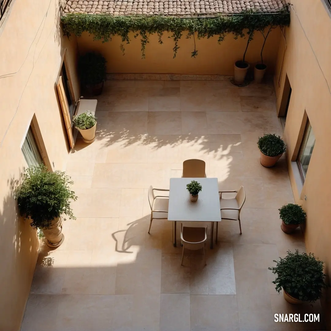 Navajo white color. Patio with a table and chairs and potted plants on the side of the building and a roof