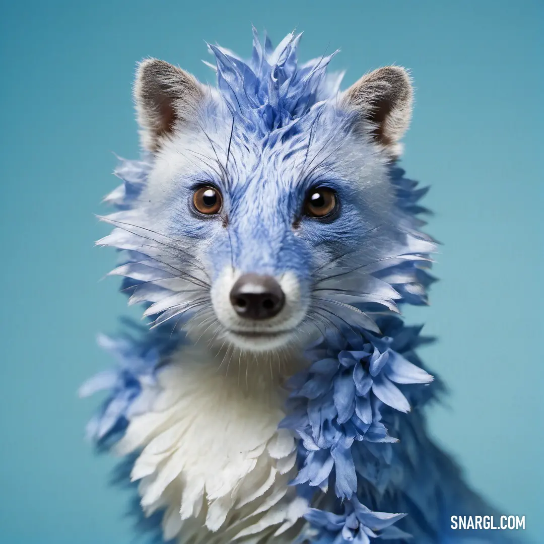 NCS S 0502-R color example: Blue and white animal with a blue background