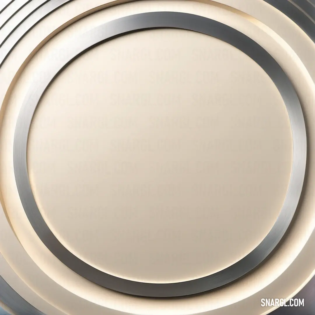 This circular metal plate features an elegant silver rim set against a pure white background. The striking contrast emphasizes its sophisticated design, making it an ideal decorative piece for modern dining or serving experiences.