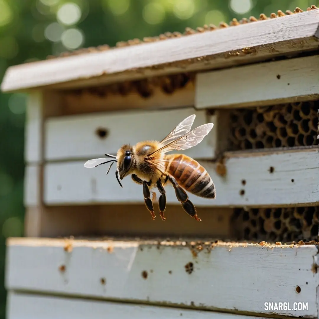 A dynamic image featuring a bee in flight, heading towards a rustic beehive adorned with honeycombs, spotlighting the journey of these incredible pollinators as they return to their colony.