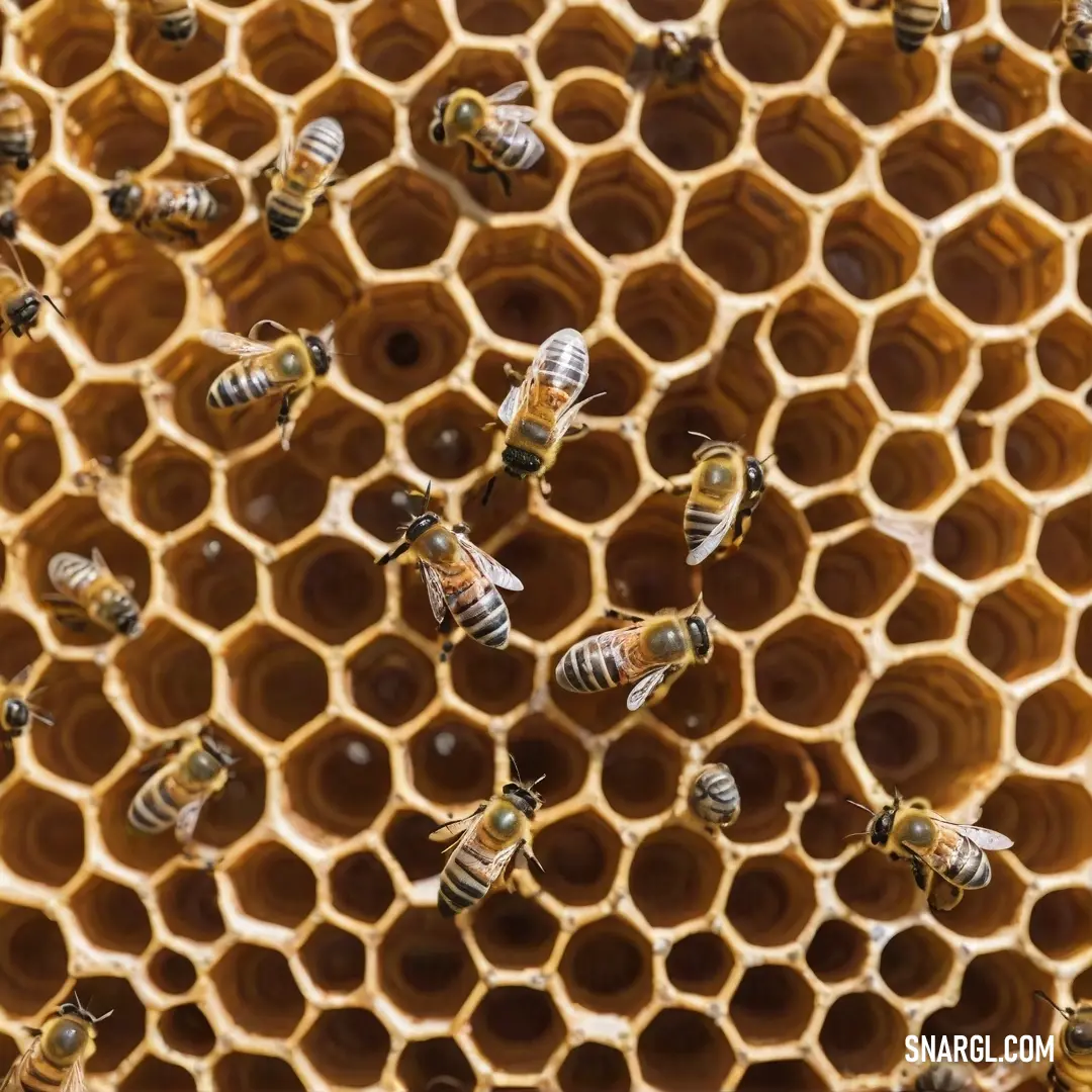 A vibrant scene showcasing a thriving honeycomb filled with bees diligently working among the golden honey cells, perfectly illustrating the bustling life of these industrious insects in their natural habitat.