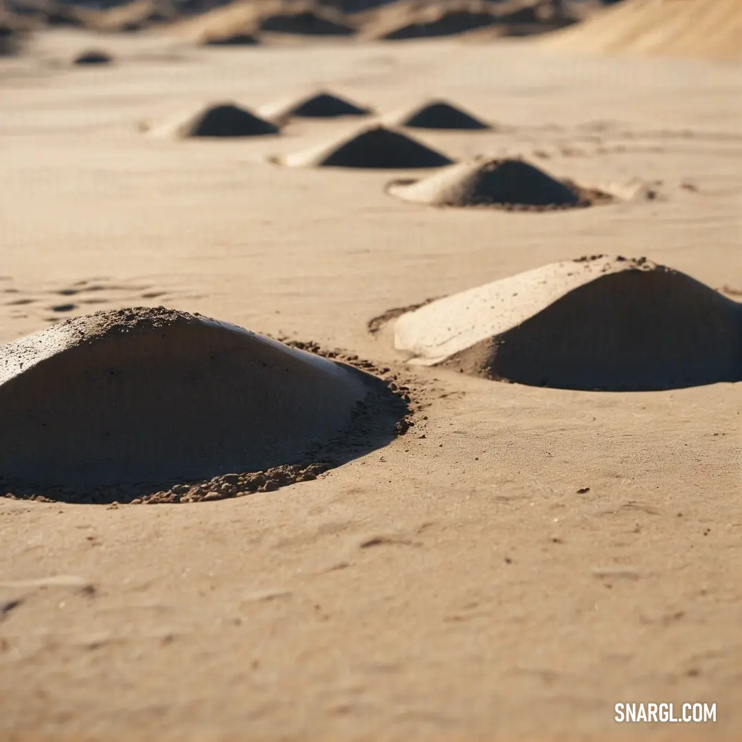 A captivating landscape of soft sand mounds gracefully arranged on the shore of a sandy beach, set against a backdrop of flowing sand dunes and a breathtaking sky, creating a harmonious blend of nature's beauty.