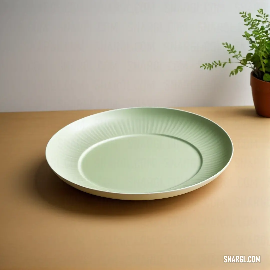 Green plate on top of a wooden table next to a potted plant on a table top. Color NCS S 0530-B90G.