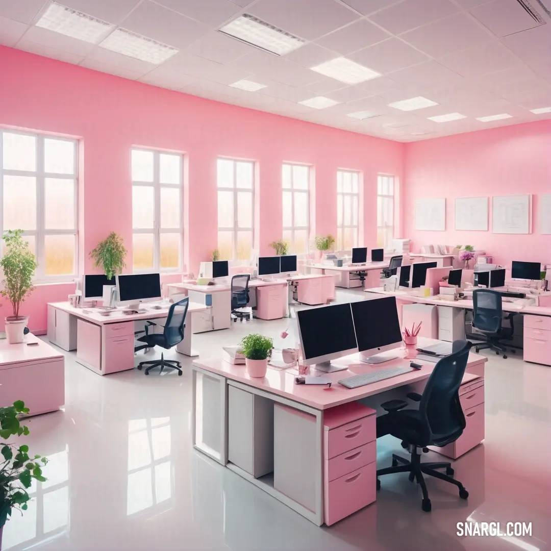 Pink office with a lot of desks and chairs and a plant in the corner of the room. Color #FDC1D4.