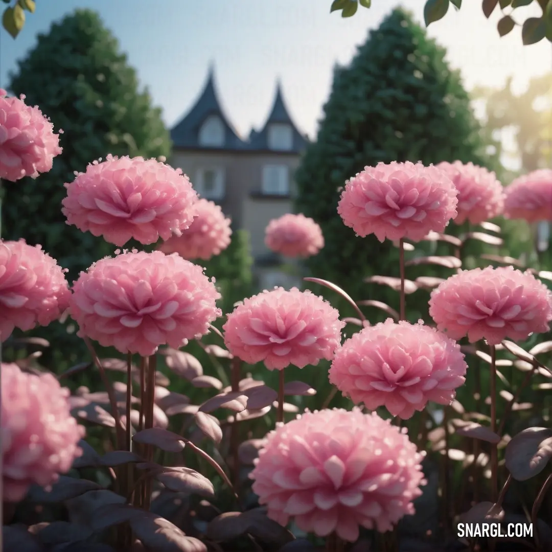 Bunch of pink flowers in a garden with a building in the background. Example of CMYK 0,34,2,0 color.