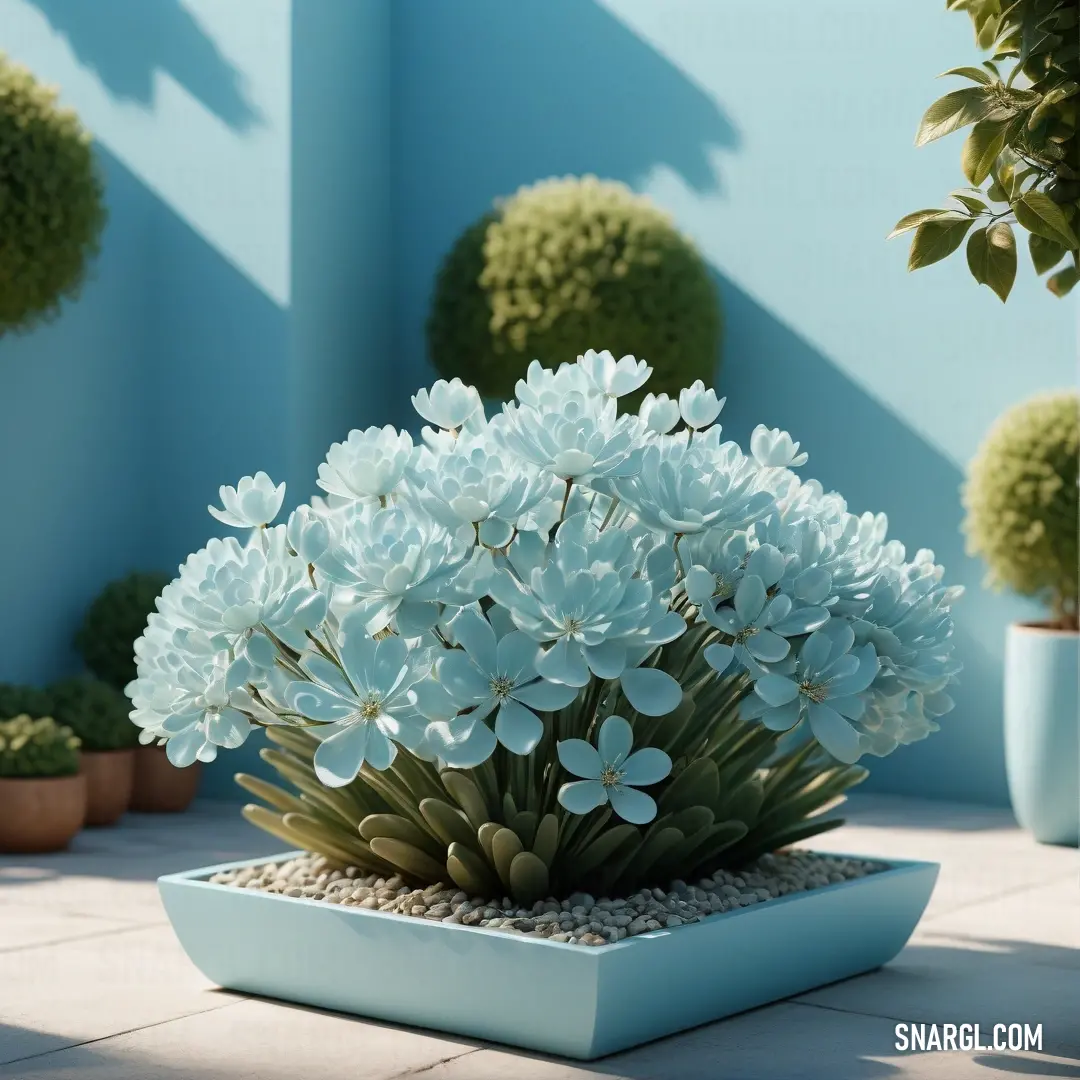 NCS S 0530-R80B color example: Potted plant with white flowers on a patio area with potted plants and a blue wall behind it