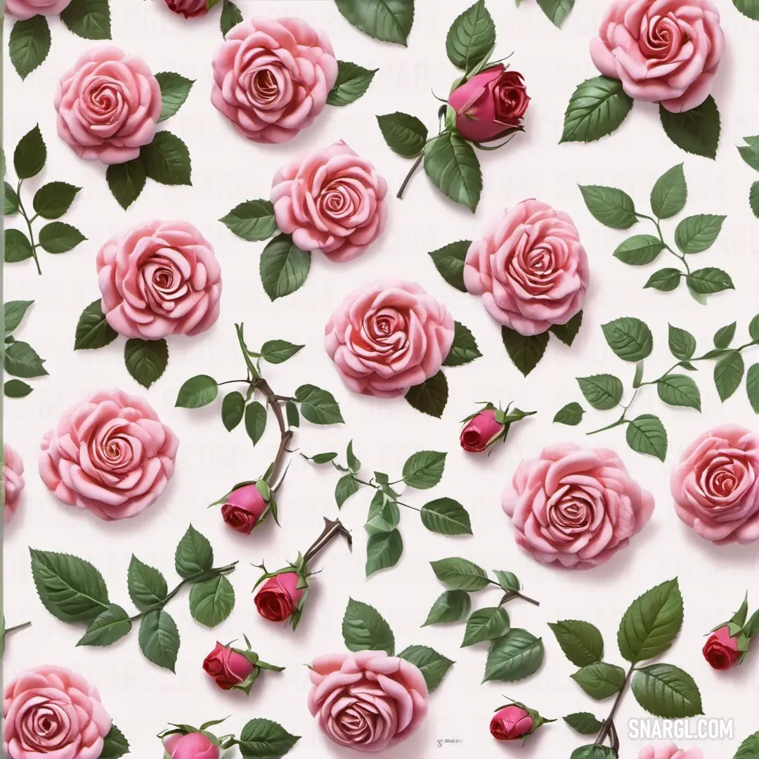 NCS S 0540-R10B color example: Pink rose pattern with green leaves on a white background