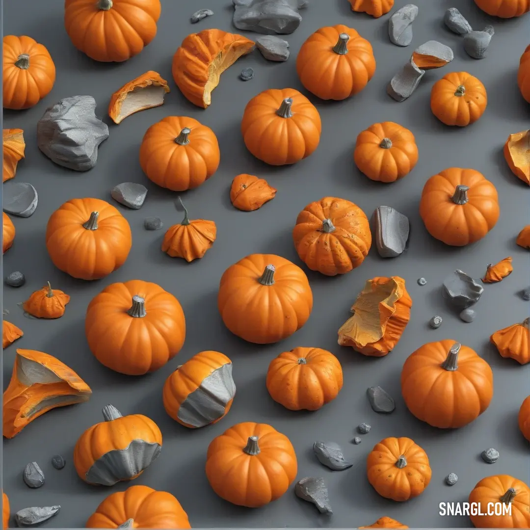 A charming collection of vibrant pumpkins arranged atop a sleek gray table, showcasing their rich orange hues and unique shapes, each pumpkin a testament to the beauty of the harvest season that fills the air with warmth and nostalgia.