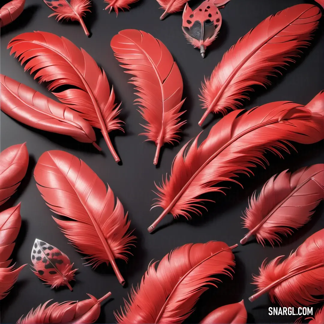 Group of red feathers on a black surface with a lady bug on it. Example of RGB 233,71,60 color.