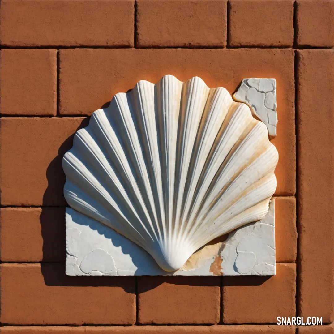 NCS S 1002-Y color. Shell is mounted on a brick wall with a brick border around it