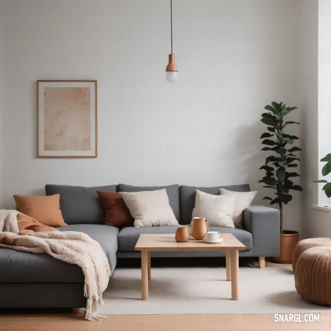 Living room with a couch, coffee table and a plant in it. Color CMYK 0,7,7,7.