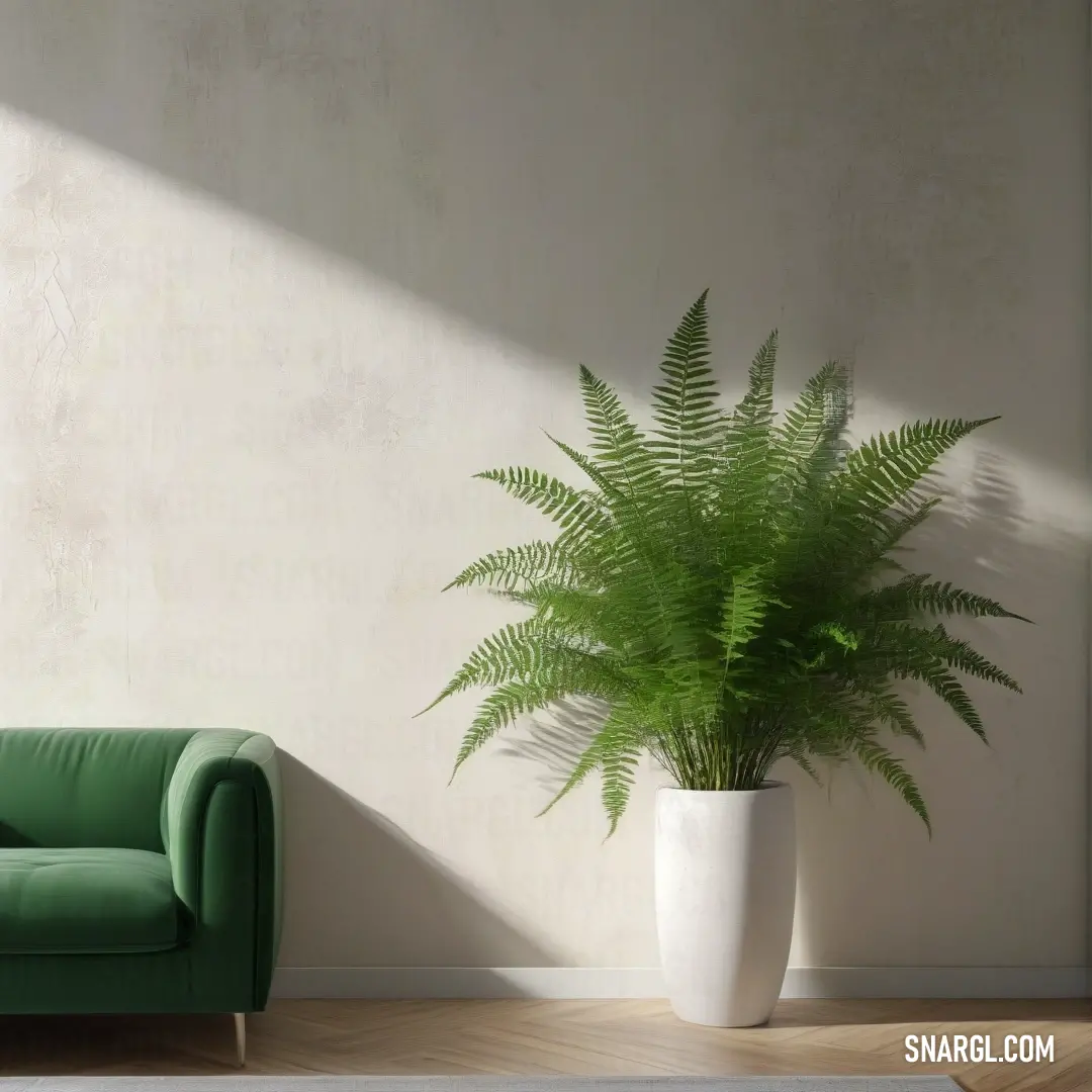 A tranquil room showcasing a vibrant green chair beside a flourishing plant, enveloped in soft white walls and flooring. The calming RGB 243,234,206 tones create an atmosphere ideal for relaxation and creativity.