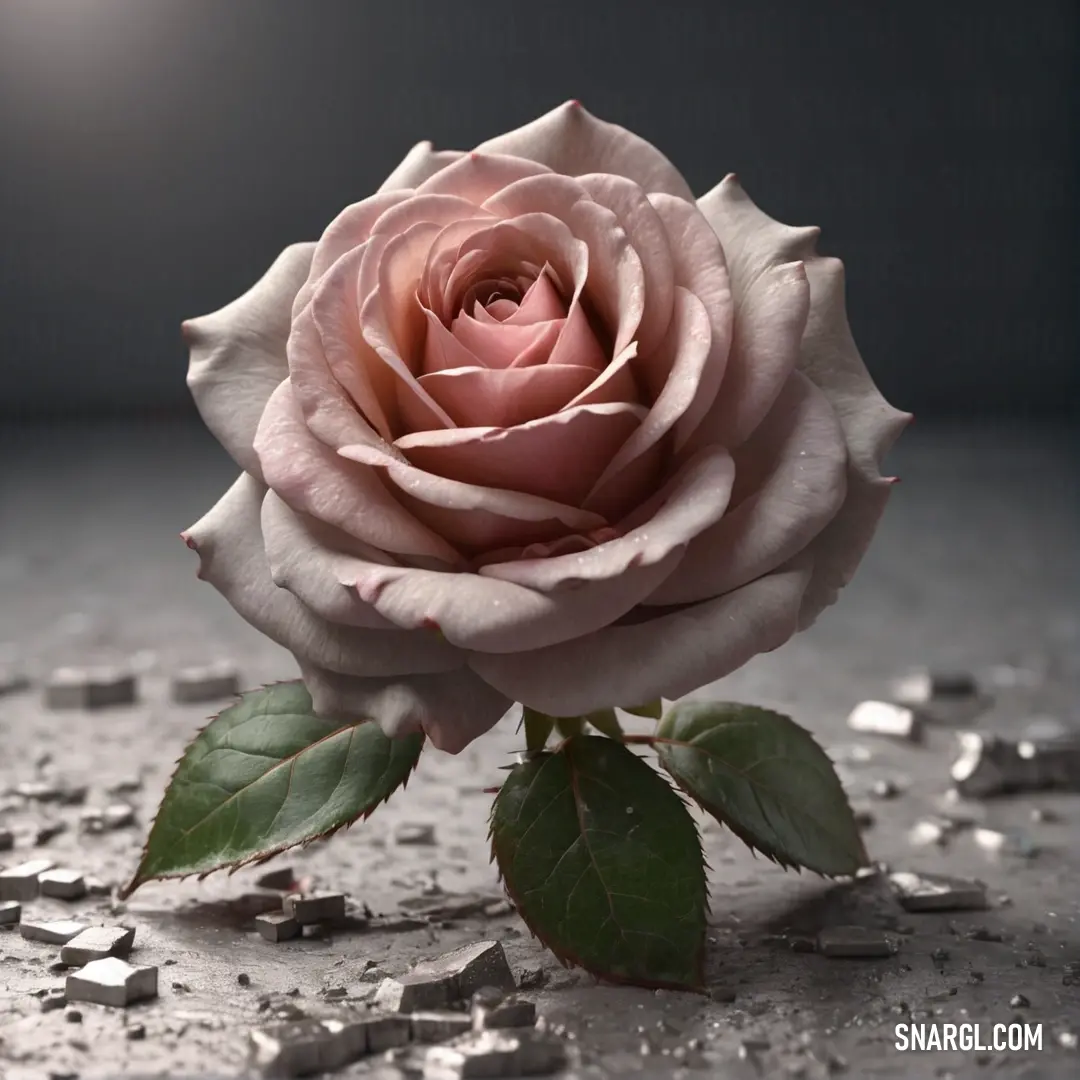 A beautiful pink rose elegantly displayed on a table, surrounded by vibrant leaves and fragments of broken glass, with soft light illuminating the scene. The delicate CMYK 0,3,20,6 colors enhance its enchanting appeal.