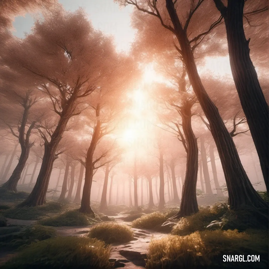 Path through a forest with a sun shining through the trees and grass on the ground in the foreground. Color NCS S 1030-Y70R.