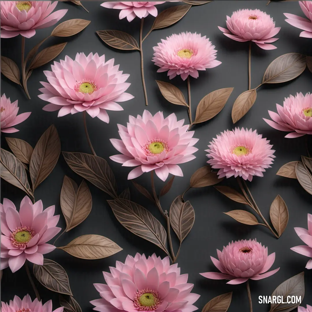 Bunch of pink flowers with leaves on a black background. Color RGB 233,151,197.
