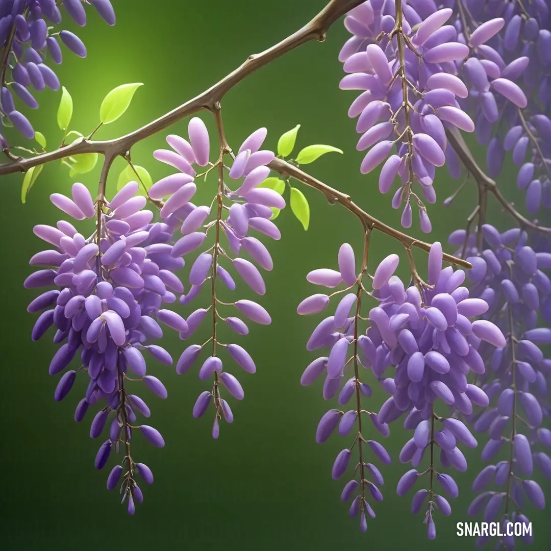 Close up of a bunch of purple flowers on a tree branch with green leaves in the background. Color RGB 221,170,231.