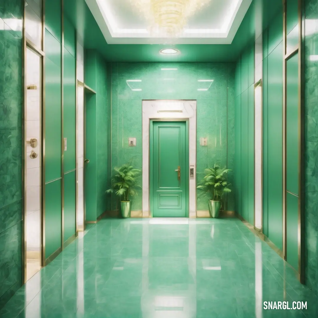 Green hallway with a green door and a plant in the middle of the hallway. Example of NCS S 1060-G color.