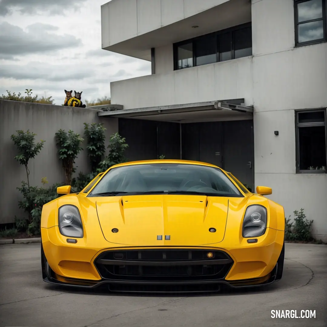 Yellow sports car parked in front of a building with a black cat on top of it's roof. Color CMYK 0,26,90,0.