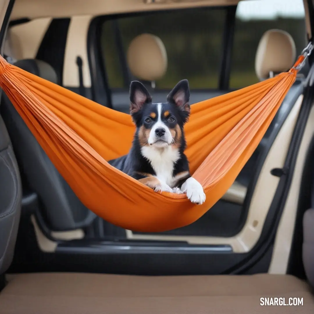 A playful dog comfortably nestled in a hammock inside a car, gazing curiously out the open door while enjoying a sunny day. The vibrant NCS S 1060-Y60R color adds a lively touch to this enchanting moment.