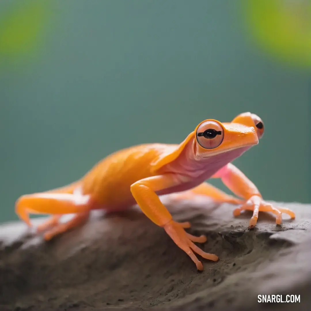 A charming small orange frog perches atop a sunlit rock, framed by a vibrant green wall and lush foliage that adds a pop of color to its playful demeanor.