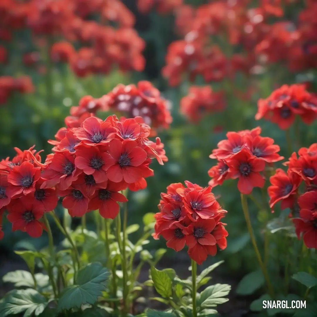 A breathtaking field of red flowers sways in the gentle breeze, their vibrant colors contrasting with fresh green leaves and stems. The blurred background enhances the dreaminess and peacefulness of this picturesque landscape.