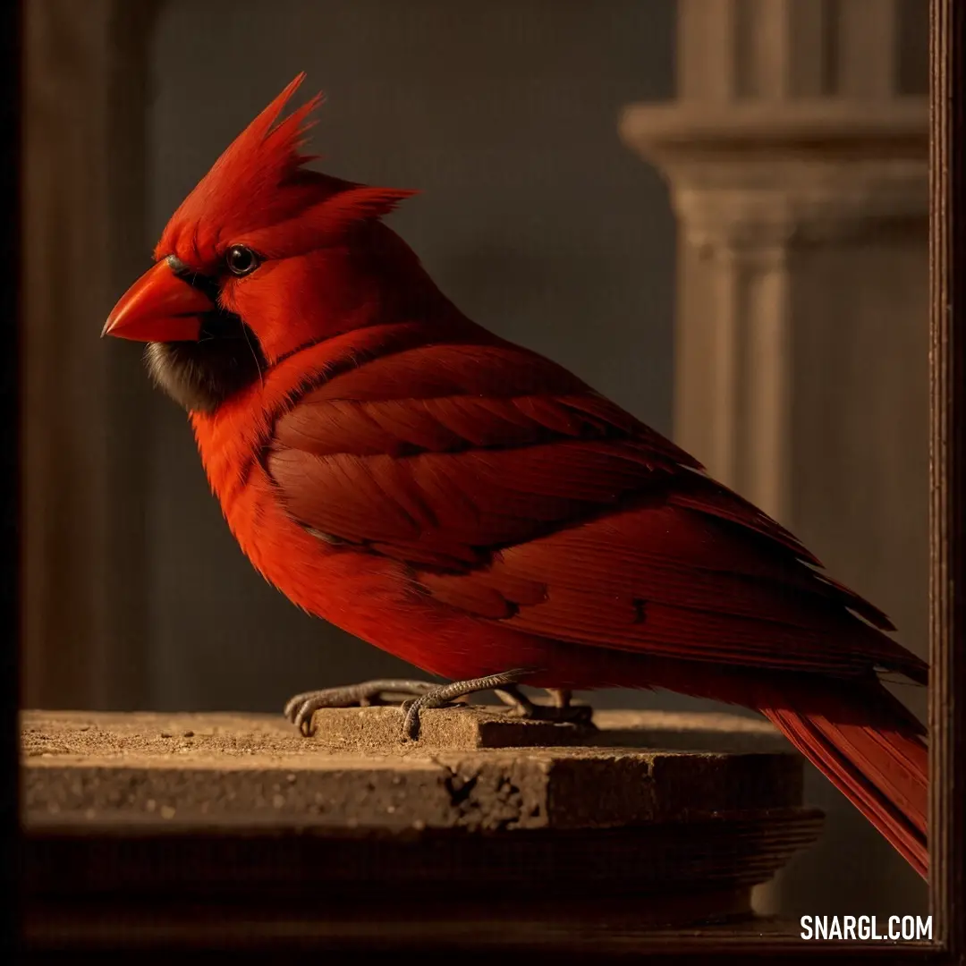 Red bird with a black beak and a white face on a ledge in a room with columns. Example of #E23403 color.