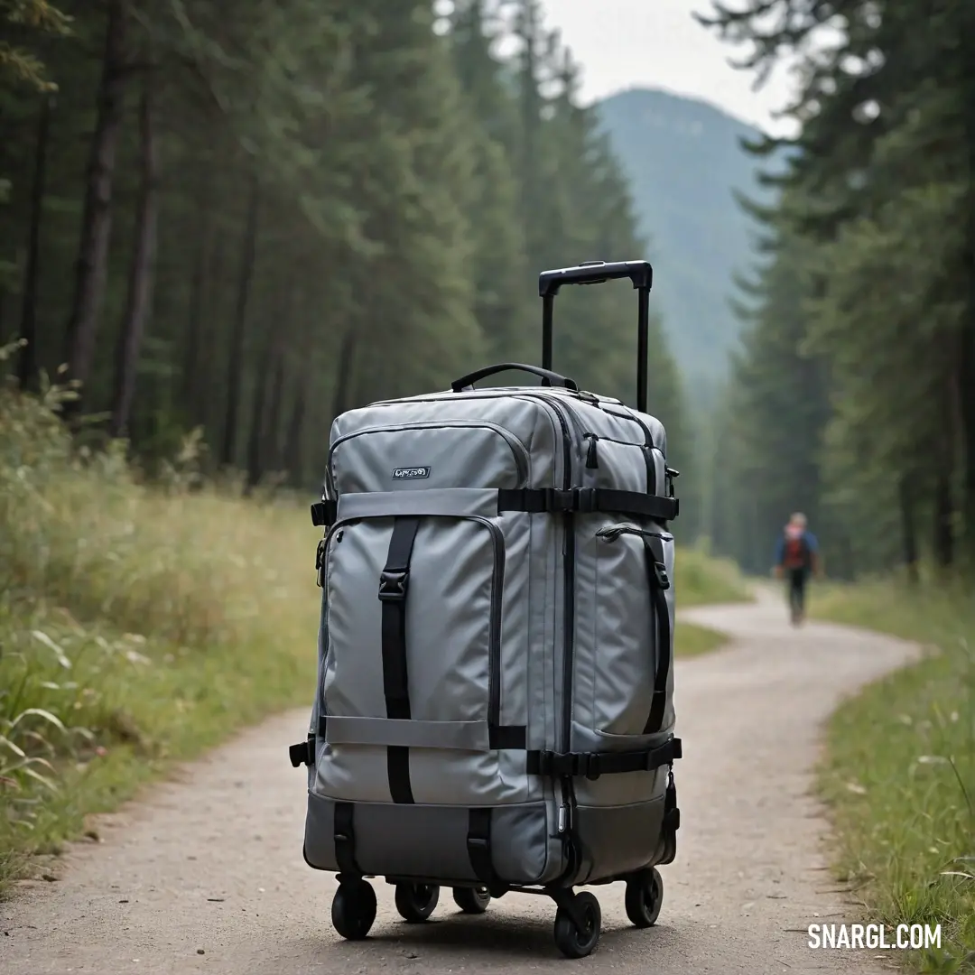 An individual strolls leisurely down a picturesque woodland path, rolling a suitcase behind them. Sunlight filters through the trees, casting dappled patterns on the ground as another person walks in the distance, adding life to the scenic backdrop.