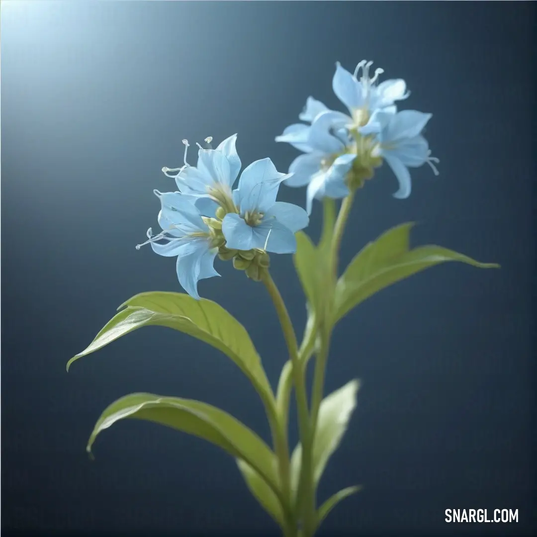 Blue flower with green leaves on a blue background. Color #BDDCDD.