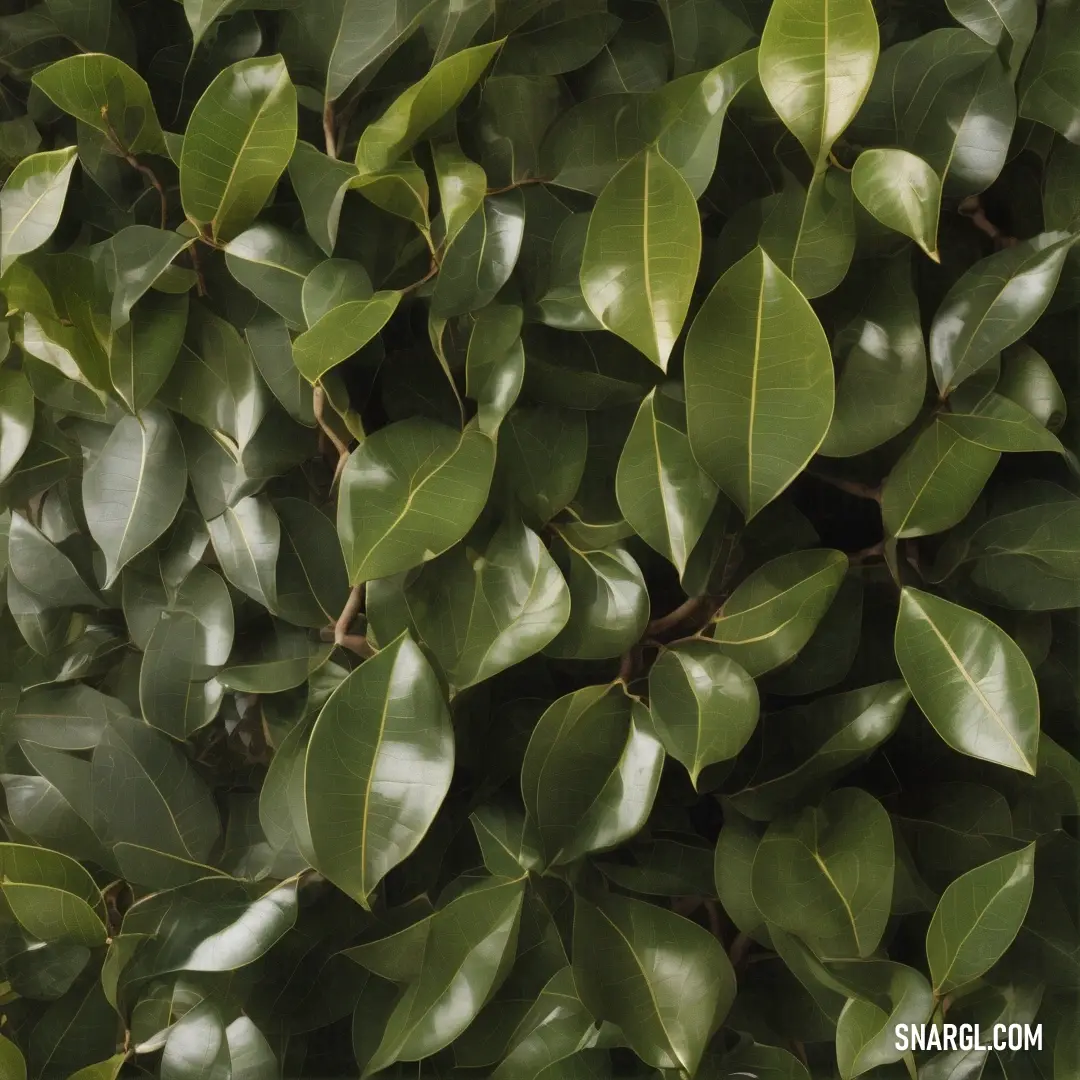 A close-up of a thriving green leafy plant, bursting with life, features a brown bird perched gracefully on its topmost leaves. The contrast between the plant's vivid green and the bird's earthy tones creates a harmonious moment in nature.