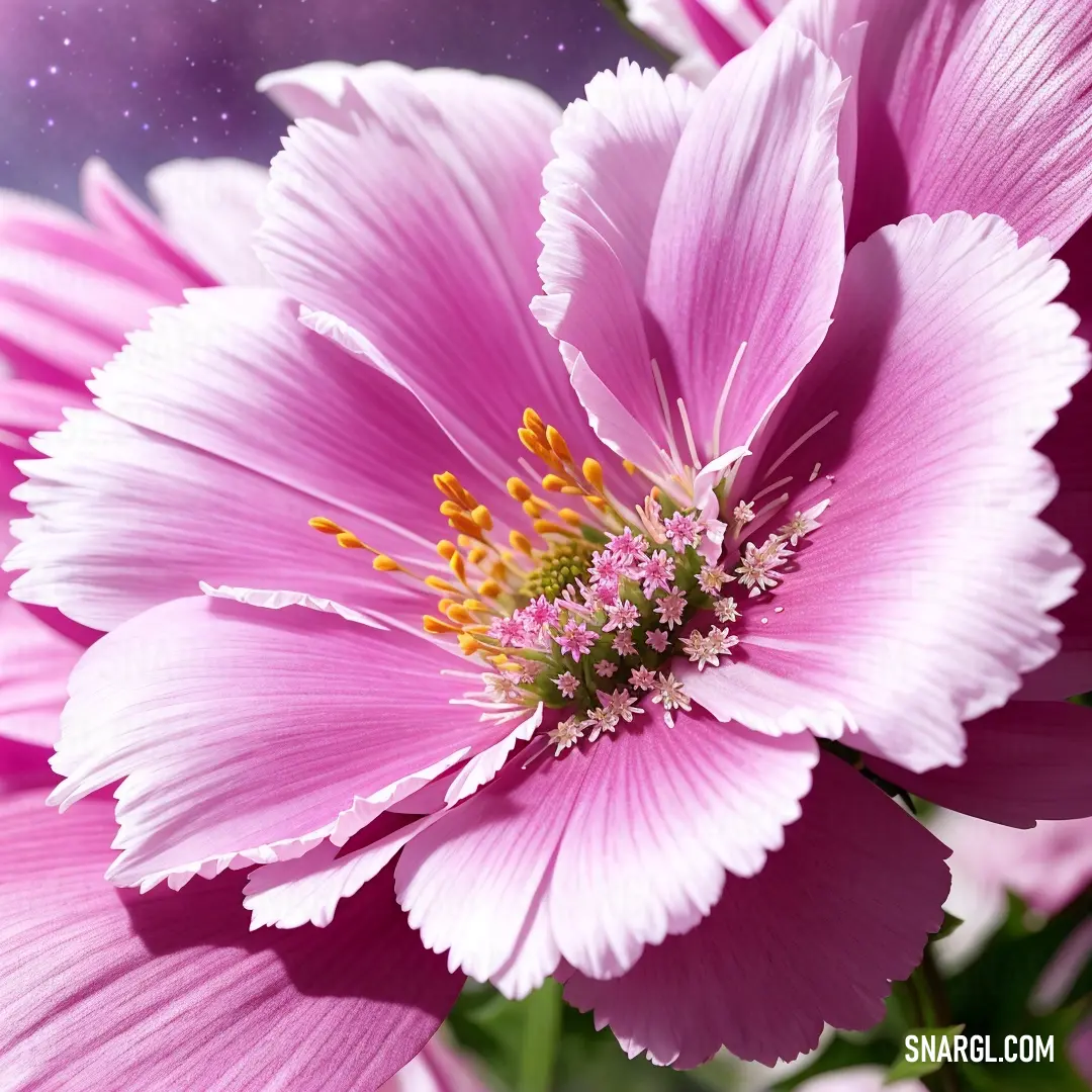 Close up of a pink flower with a sky background. Color #C3ABB2.
