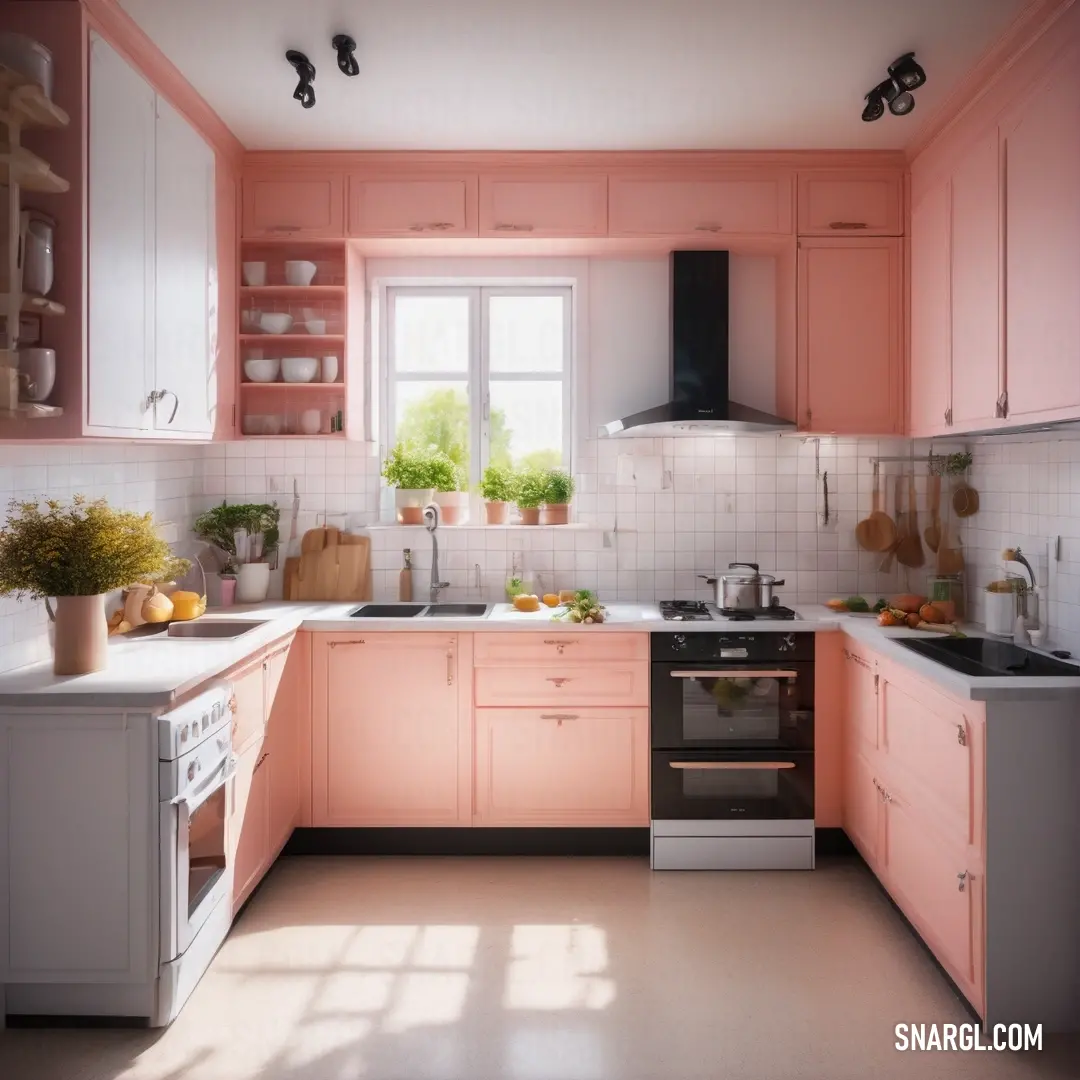 NCS S 2020-R color. Kitchen with pink cabinets and a white counter top and a window with potted plants on it and a sink