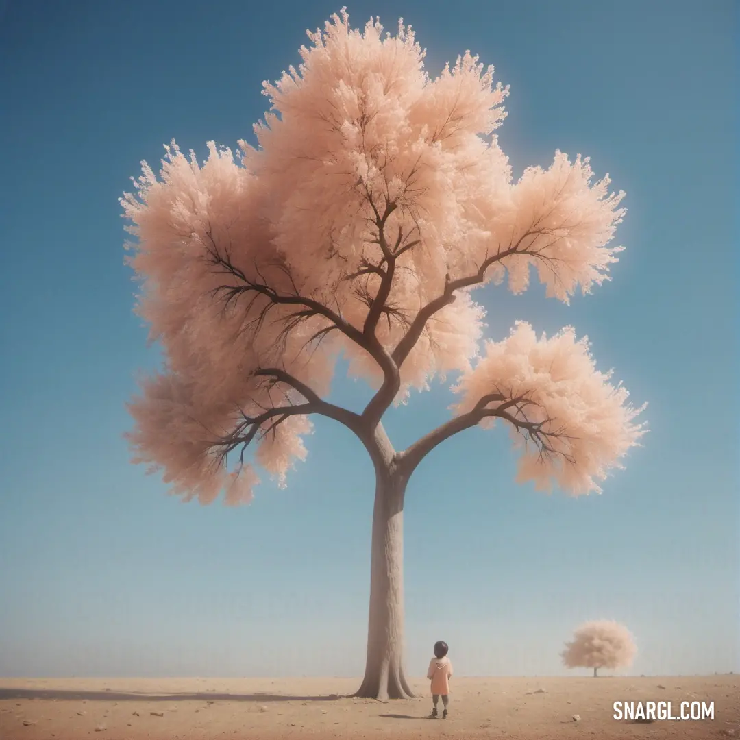 NCS S 2020-Y60R color. Person standing under a tree with a pink tree in the background