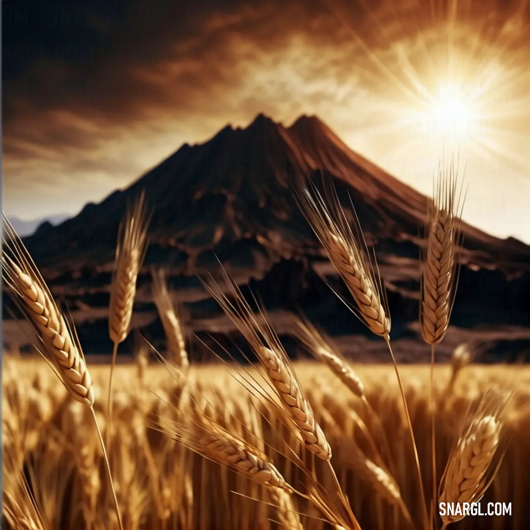 Field of wheat with a mountain in the background. Example of #DFA463 color.