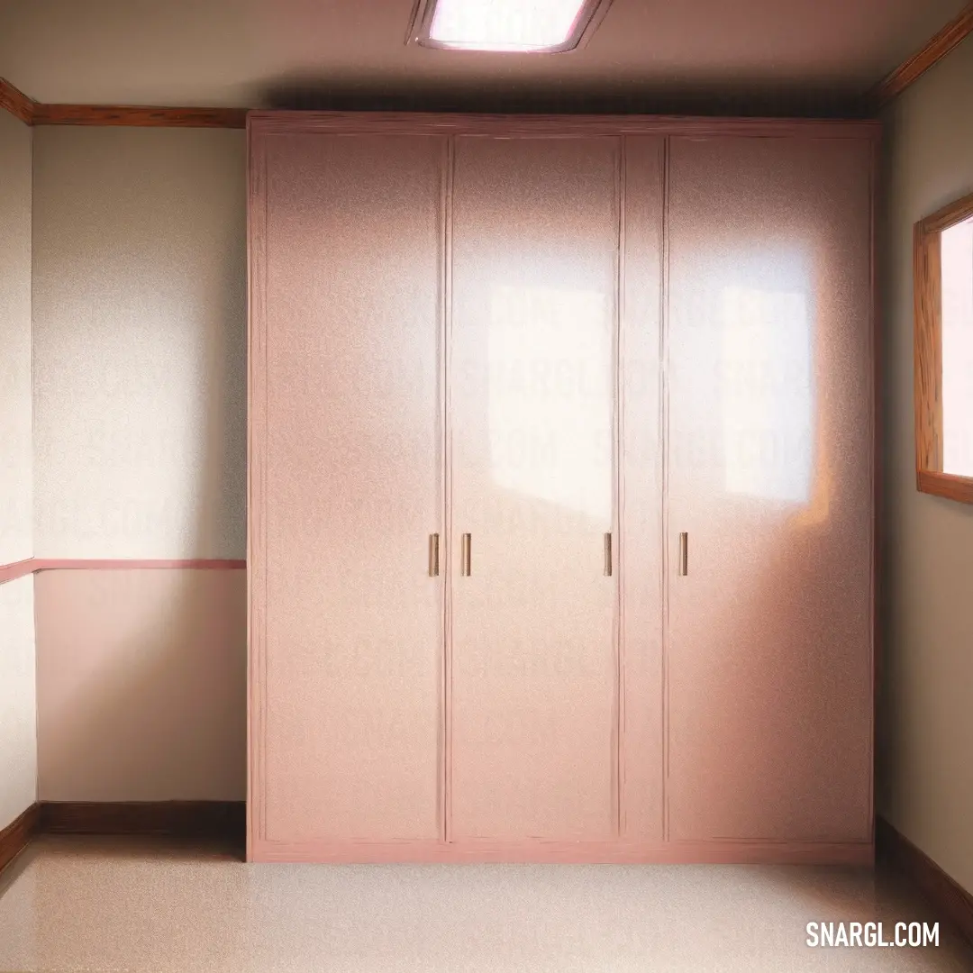 NCS S 2030-Y90R color example: Room with a pink closet and a window with a skylight above it and a white floor and walls