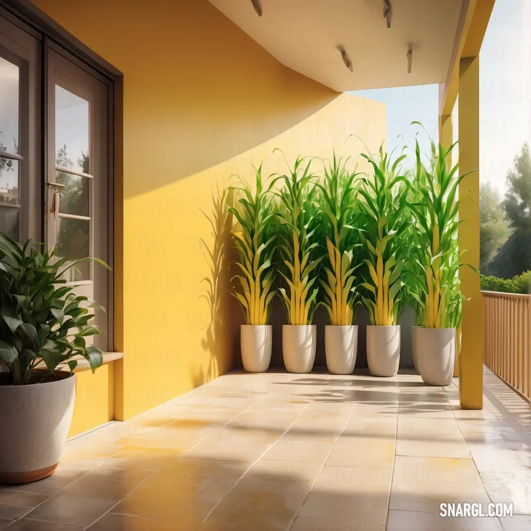 A lively balcony adorned with a collection of potted plants, set against a cheerful yellow wall. The greenery brings life and vibrance to the space, while the sunny backdrop enhances the warm, welcoming ambiance of this urban retreat.