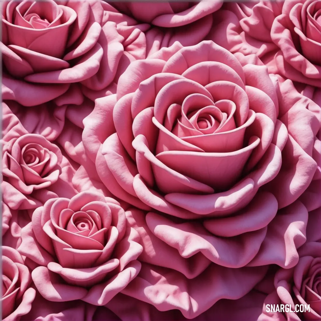 NCS S 2040-R10B color. Close up of a bunch of pink roses with a white border around it
