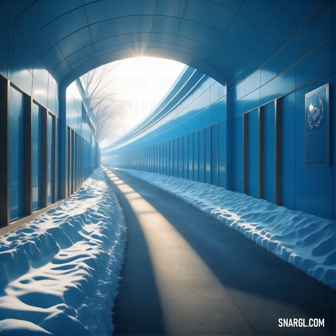 NCS S 2050-B color example: Tunnel with snow on the ground and a walkway leading to it with a light at the end of the tunnel