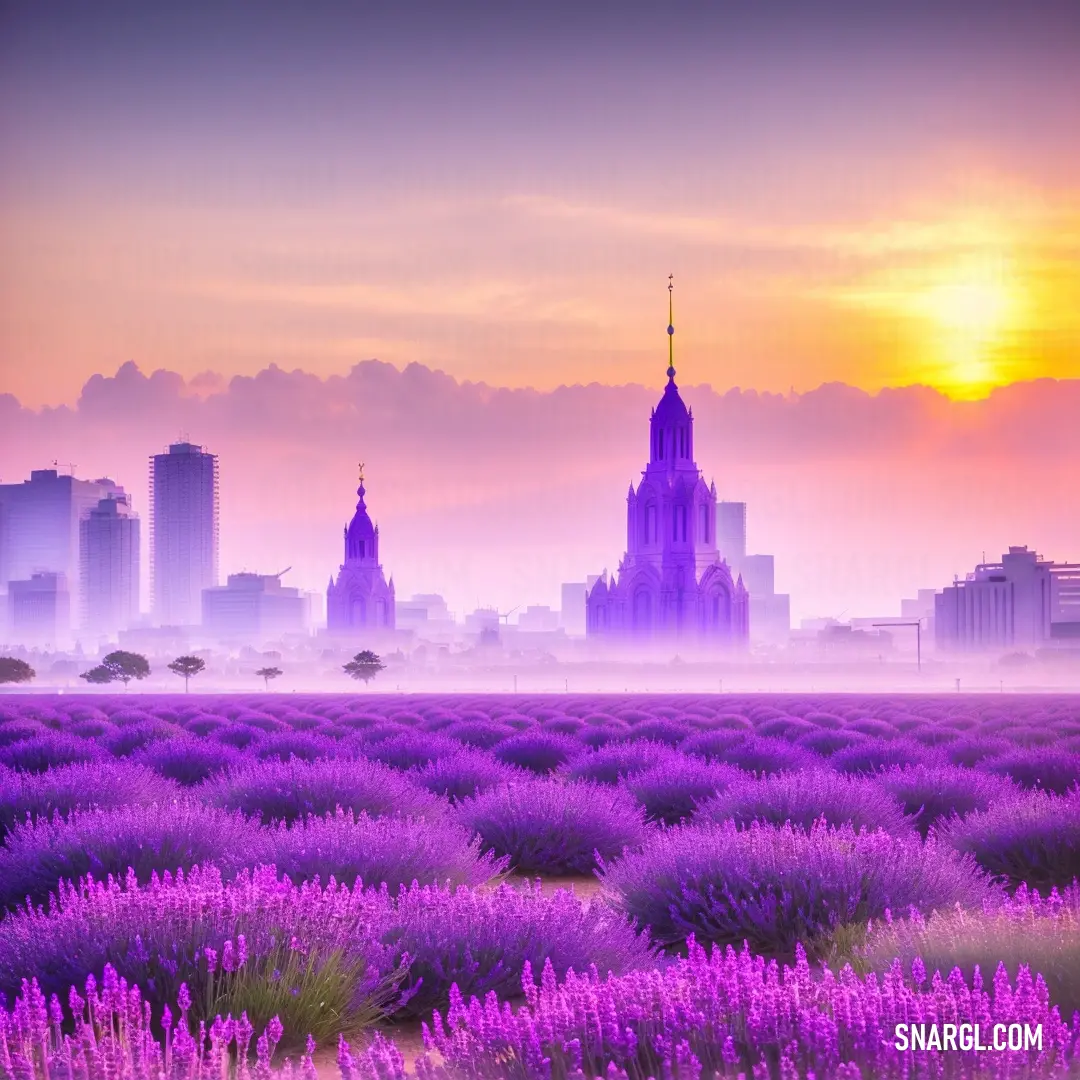 Field of lavender flowers with a city in the background. Example of CMYK 35,75,0,0 color.
