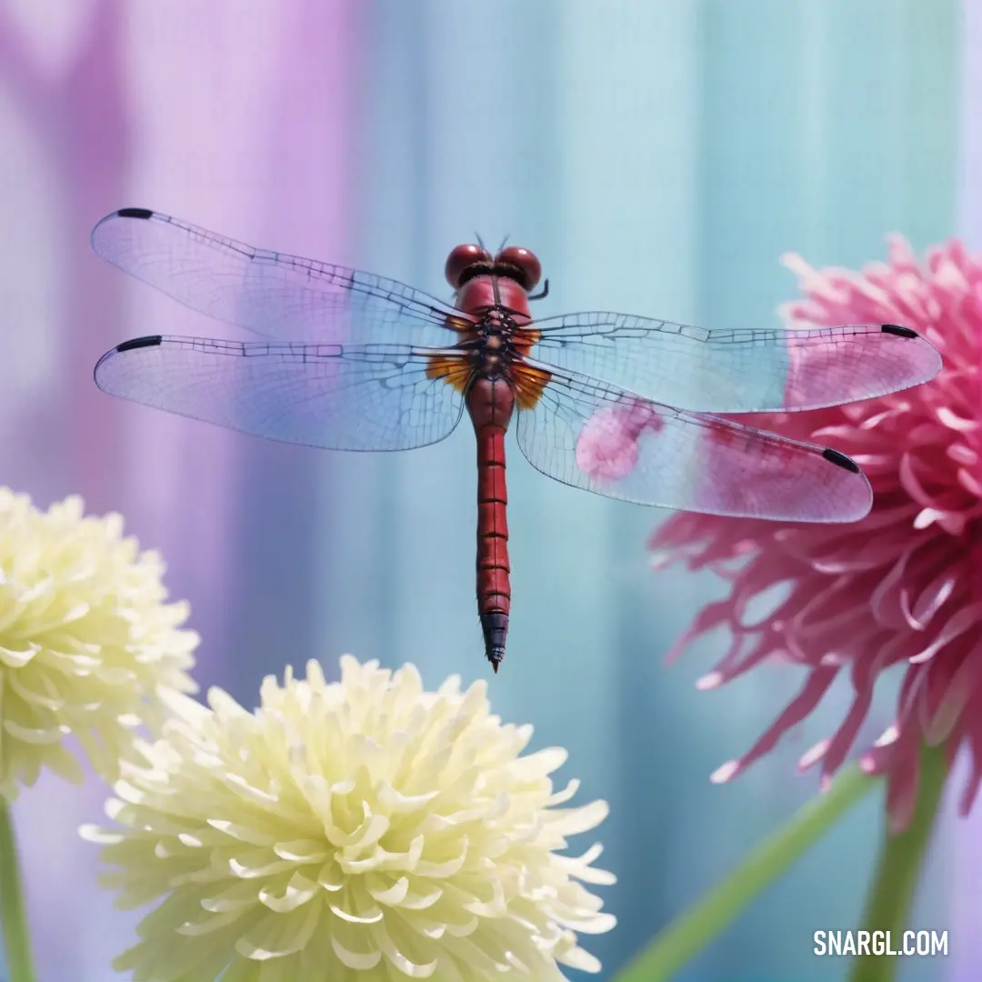 A captivating close-up of a delicate dragonfly resting atop a vibrant flower in a vase, illuminated by gentle light streaming in, showcasing nature's intricate beauty and harmony.